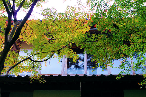 f0007926_11515575.jpg