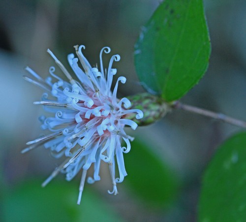 c0104227_10221224.jpg