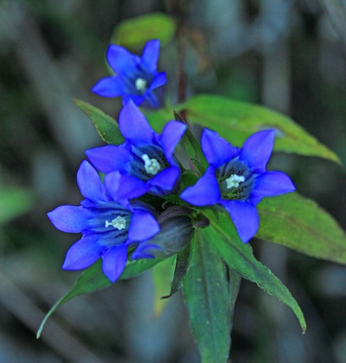 c0104227_10233455.jpg