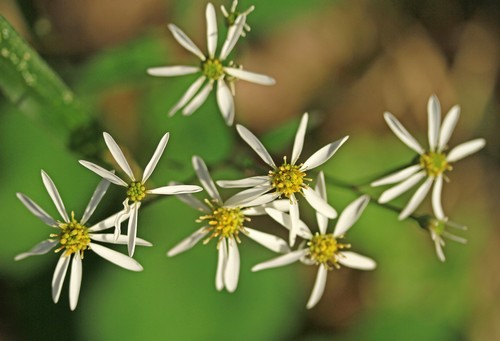 c0104227_10244638.jpg