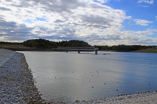 c0104227_1131630.jpg