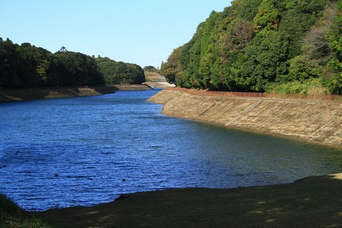 c0104227_1175512.jpg
