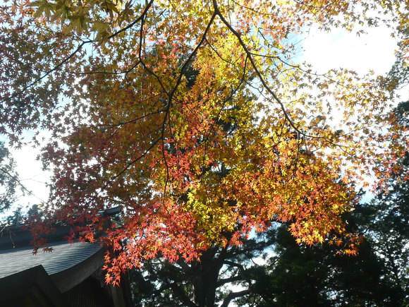 c0009528_23195096.jpg