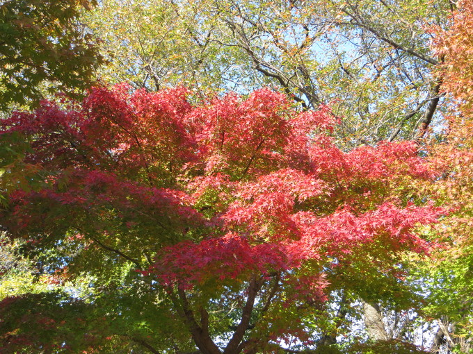 a0155430_1475534.jpg