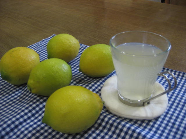 b0166435_1824031.jpg