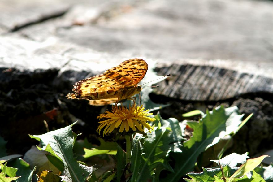 c0172139_2347166.jpg