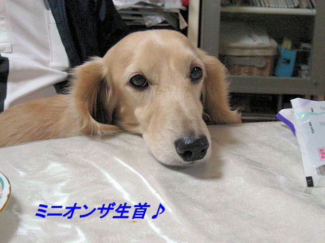 a0149240_18435697.jpg