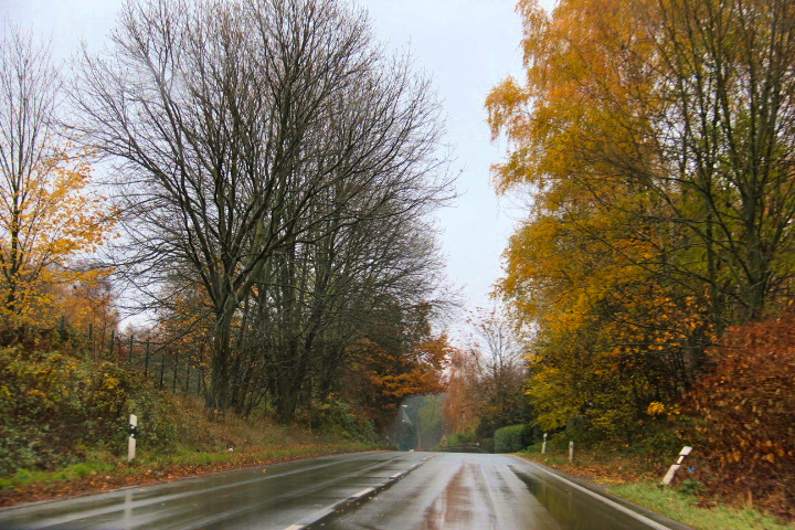 c0153740_1375533.jpg