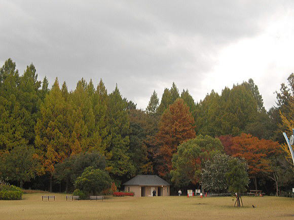 f0094843_12383645.jpg