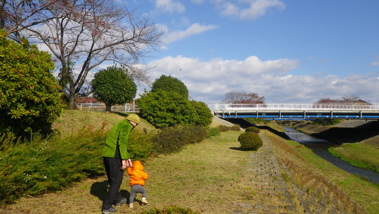 c0042847_11133524.jpg
