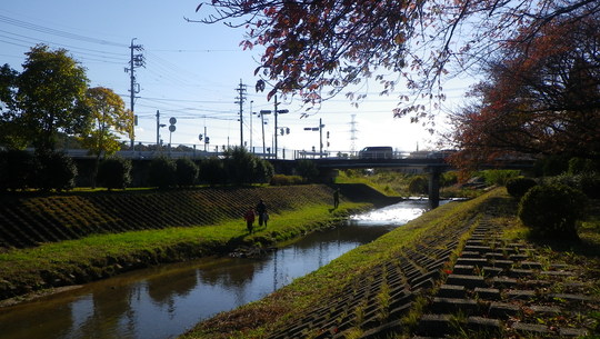 c0042847_1116486.jpg