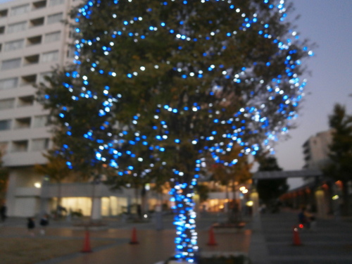 e0121548_21583234.jpg