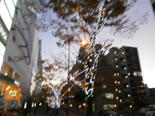 e0121548_2203365.jpg