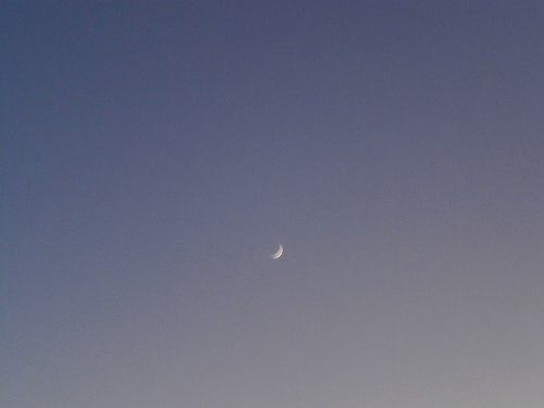 e0121548_2232039.jpg