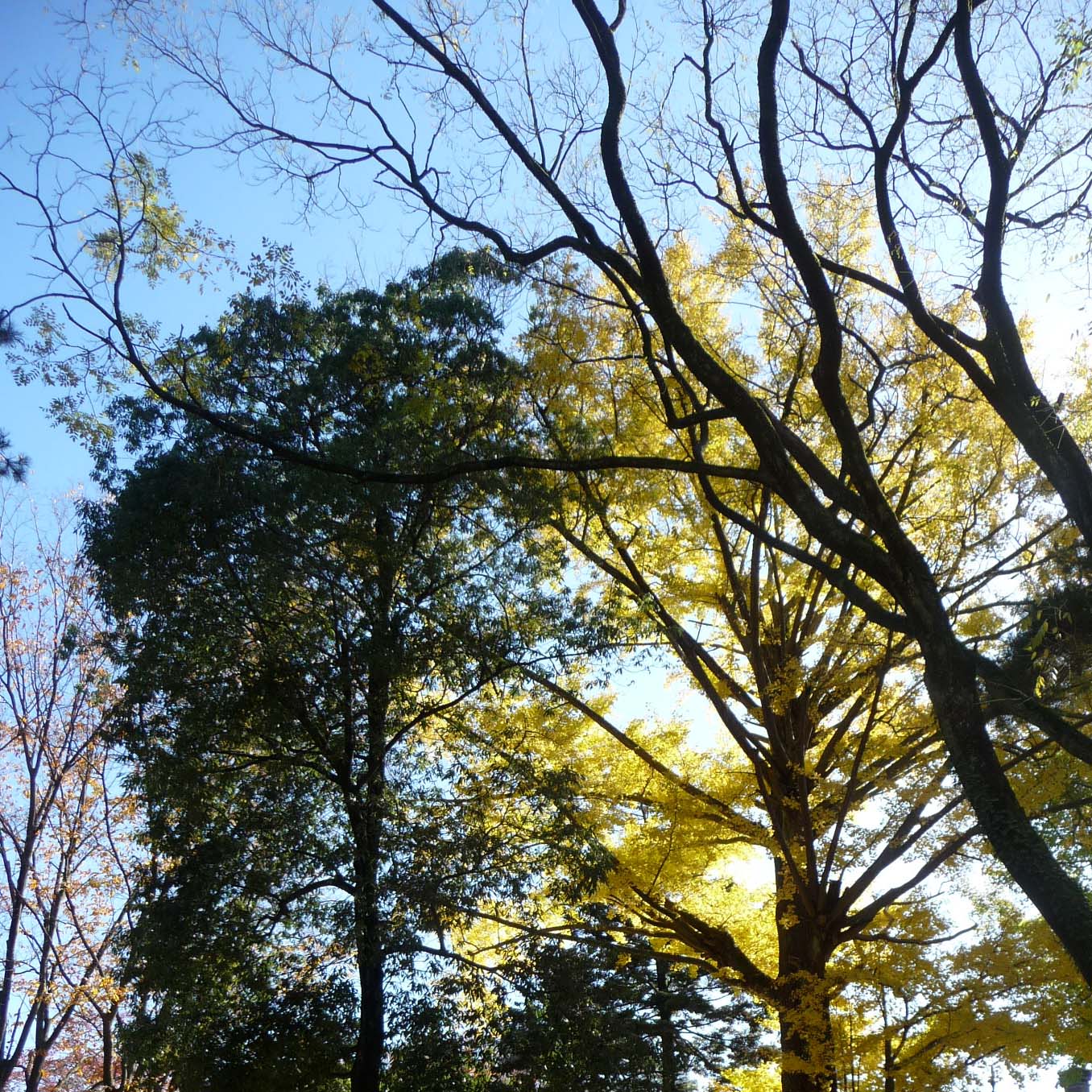 e0002850_2183167.jpg