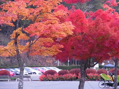 a0251851_114875.jpg