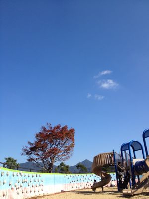 c0175753_833773.jpg