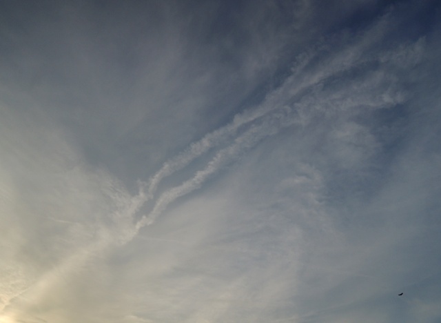 b0173754_14135095.jpg