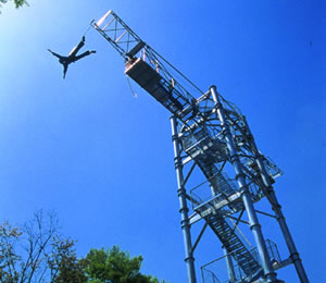b0002156_13165634.jpg