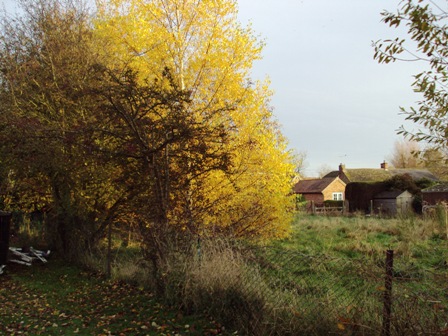 e0010856_130028.jpg