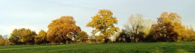 e0010856_5422285.jpg