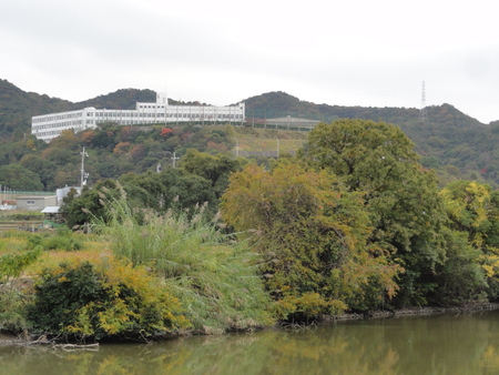 c0108460_173040.jpg