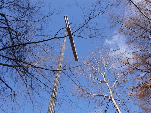 c0166668_838716.jpg