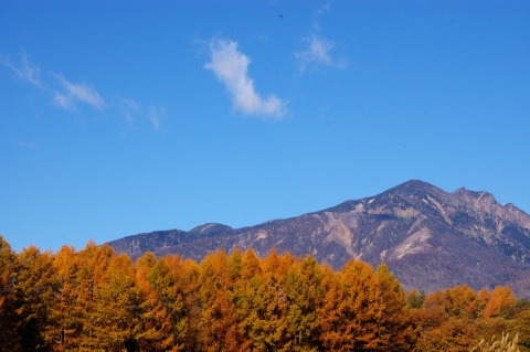 e0045768_2233297.jpg