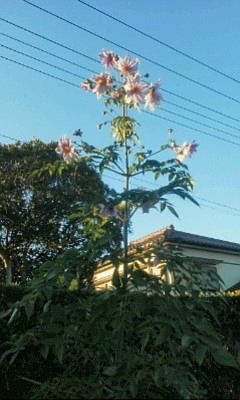 e0278968_23351630.jpg