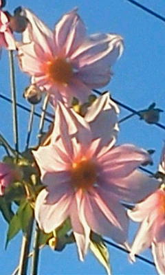 e0278968_23405768.jpg