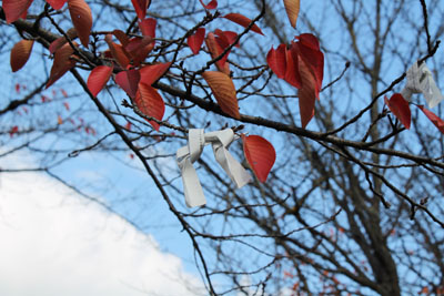 c0117570_1533568.jpg