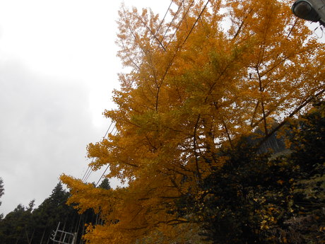 c0206177_7594359.jpg