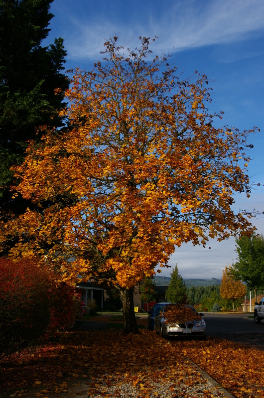 f0112080_15543634.jpg