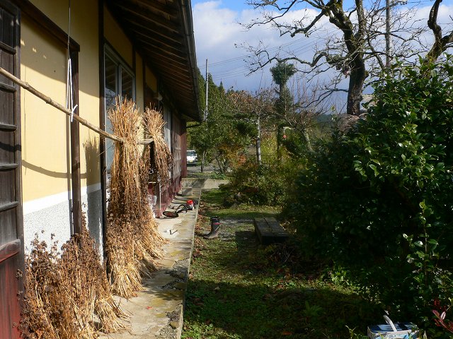 b0042882_18263535.jpg