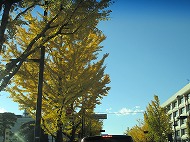 a0142083_10195128.jpg