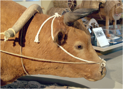 c0145183_12501475.jpg