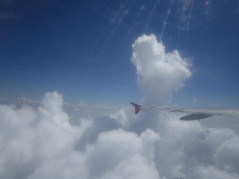 b0161391_12455739.jpg