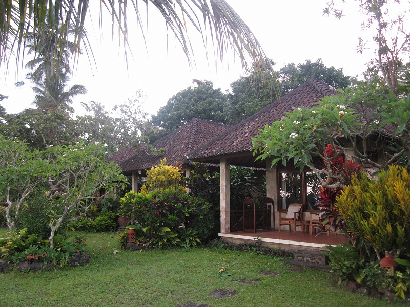 b0161391_13204790.jpg
