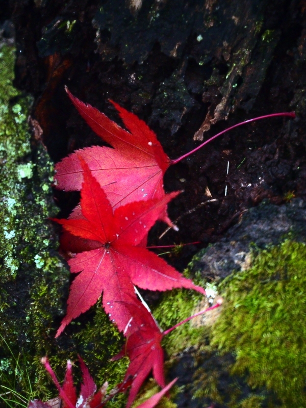 b0138101_218639.jpg