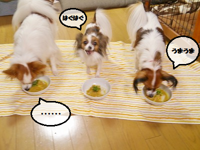 b0243804_13133680.png