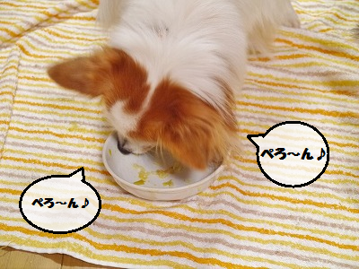 b0243804_1314015.png