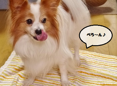 b0243804_13142639.png