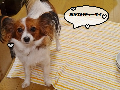 b0243804_13145169.png