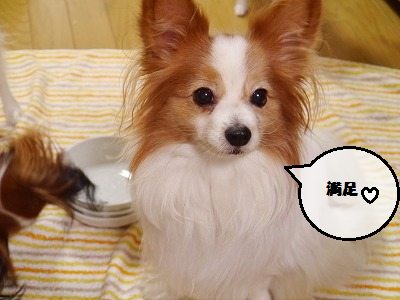 b0243804_1315541.png
