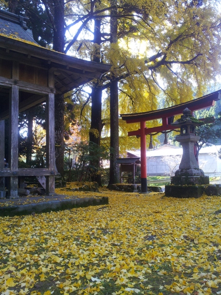 e0033713_1118193.jpg