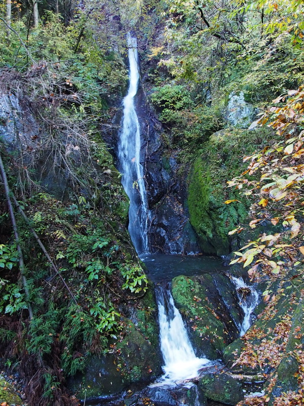 c0085622_20463279.jpg