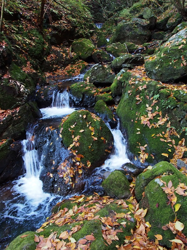c0085622_20464997.jpg