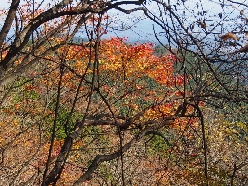 c0085622_20483975.jpg
