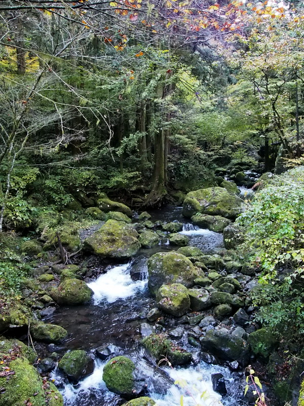 c0085622_20491254.jpg