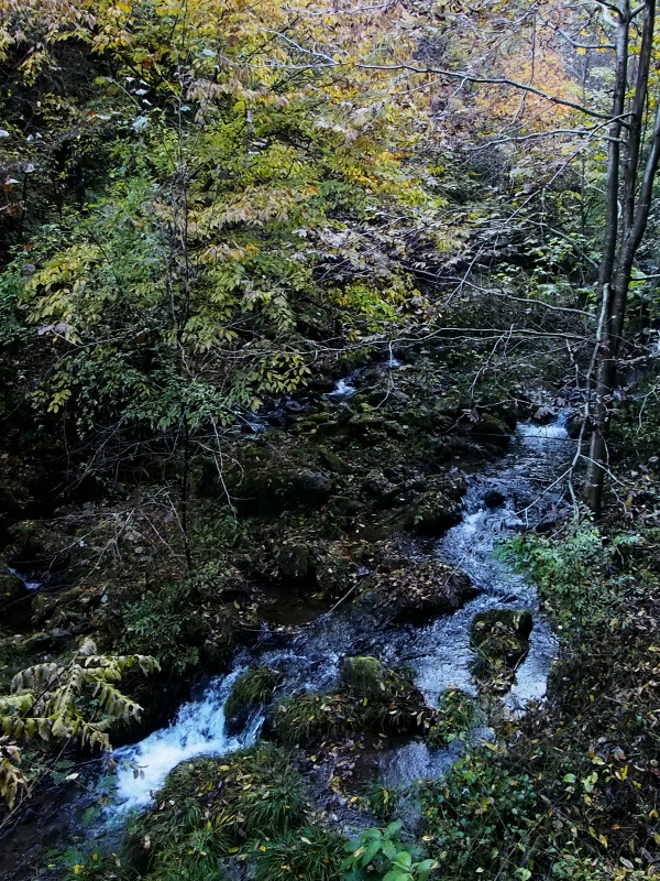 c0085622_20494073.jpg